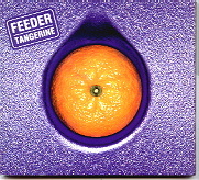 Feeder - Tangerine